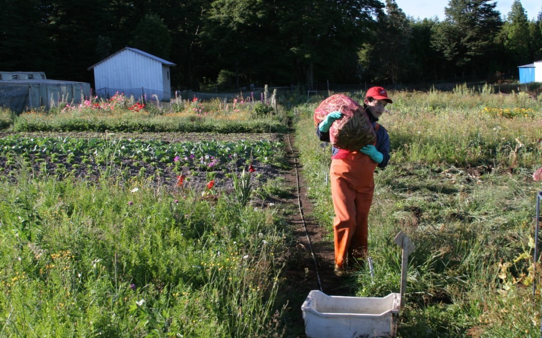 Marmau e INIA desarrollan sustrato agrícola innovador a partir de residuos de la industria acuícola